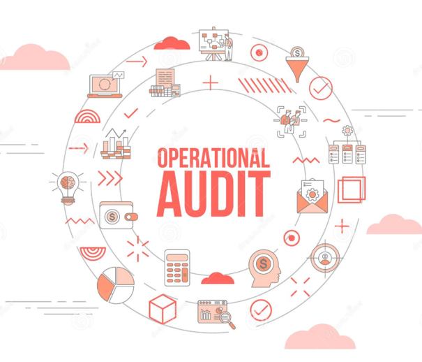 audit opperationel